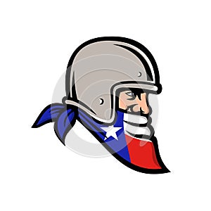Texan Bandit Wearing Bandana Texas Flag Mascot
