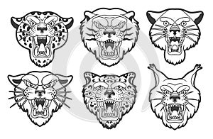 Mascot Logo Collection. Head Of Leopards, Lion, Lunx, Tiger Isolated Illustration