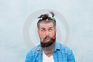 Masculine enough. Having fun party. Man adult bearded handsome hipster childish hairstyle colorful ponytails. Hair
