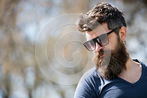 Masculinity concept. Macho with beard and mustache look confident brutal in sunglasses. Bearded guy strict face. Man