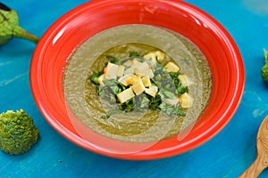 mashed zucchini soup, eggplant, broccoli in a red plate on a wooden background