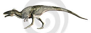 Masiakasaurus Isolated on a White Background