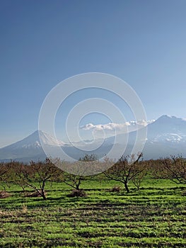 Masis mountain Ararat