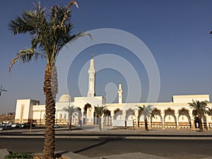 Masjid Namirah or Nimrah near Mecca - Date trees - Islamic holy place - Pilgrimage tour