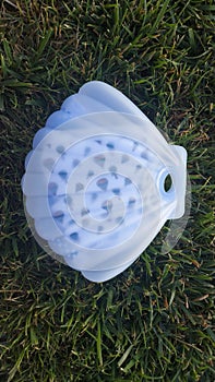 Mask Case transparent covid19 viruse Safe heal protection Shell sea