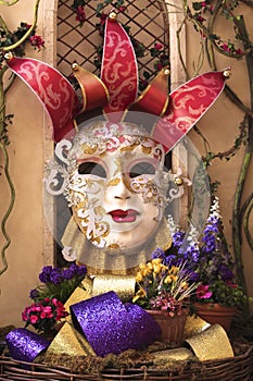 mask colorful majestic Jester