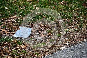 A Mask Discarded in the Grass or COVID Litter