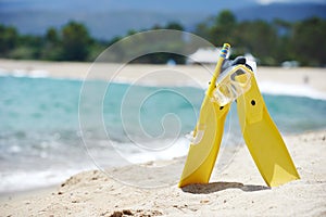 Mask and flippers on the beach