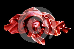 Mask of a human face from a skin