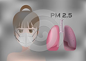 Mask pm 2.5 protection  with women face . pollution air / lung