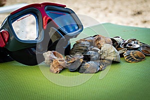 Mask scuba dive with sea shells on the sea coast. blue green background