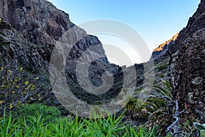 Maska ravine, cliffs, Tenerife. trail in the gorge Maska
