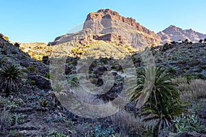 Maska ravine, cliffs, Tenerife. trail in the gorge Maska