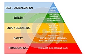 Maslow`s pyramid hierarchy of needs