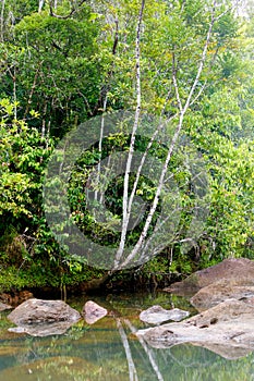 Masoala National Park landscape, Madagascar