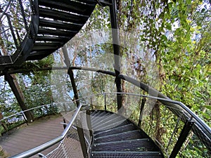 Masoala Rainforest - Der Masoala Regenwald - La ForÃÂªt Pluviale de Masoala - La Foresta pluviale Masoala - The Zoo ZÃÂ¼rich Zuerich photo