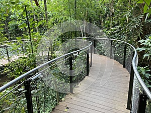 Masoala Rainforest - Der Masoala Regenwald - La ForÃªt Pluviale de Masoala - La Foresta pluviale Masoala - The Zoo ZÃ¼rich Zuerich