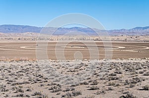 Mason Valley, Nevada ranchland