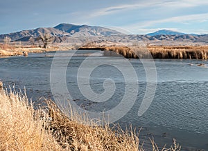 Mason Valley Wildlife Management Area