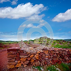 Masonry stonewall in spring with flowers at Menorca