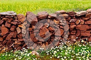 Masonry stonewall in spring with flowers Menorca