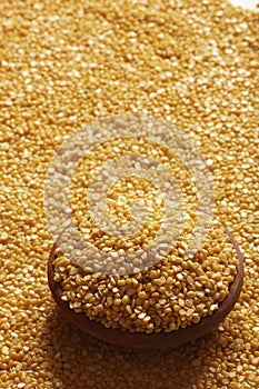 Masoor dal or pulse