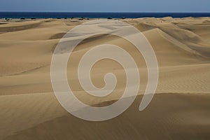 Maspalomas