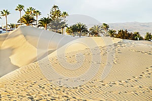 Maspalomas beach with sandy dunes. Gran Canaria, Canary islands, Spain. Copy space.
