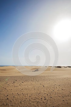 Maspalomas coastal sand dunes in Gran Canaria, Spain. Desert-like sand area, blue sky and sunshine. No people in sight, just