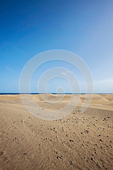 Maspalomas coastal sand dunes in Gran Canaria, Spain. Desert-like sand area, blue sky and sunshine. No people in sight, just