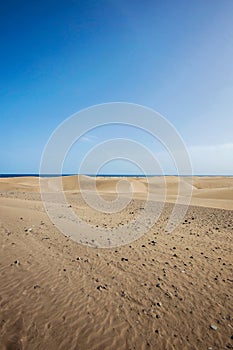 Maspalomas coastal sand dunes in Gran Canaria, Spain. Desert-like sand area, blue sky and sunshine. No people in sight, just