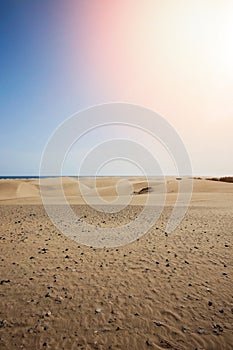 Maspalomas coastal sand dunes in Gran Canaria, Spain. Desert-like sand area, blue sky and sunshine. No people in sight, just