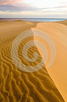 Maspalomas desert