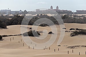 Maspalomas desert Gran Canaria Spain