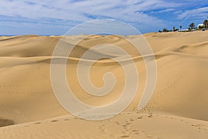 Maspalomas Duna - Desert in Canary island Gran Canaria