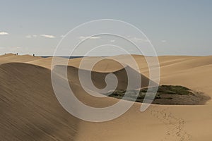 Maspalomas dunes in the Canary Islands