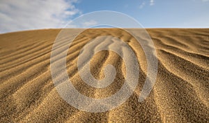 Maspalomas Dunes on the coast of Gran Canaria, Spain