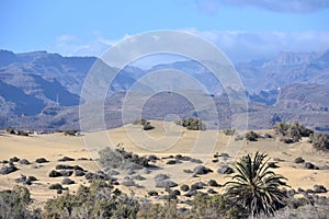 Maspalomas dunes, Gran Canaria