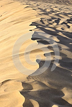 Maspalomas dunes, Gran Canaria