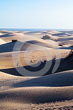 Maspalomas Dunes, Gran Canaria