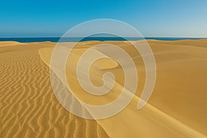 Maspalomas Dunes of Gran Canaria