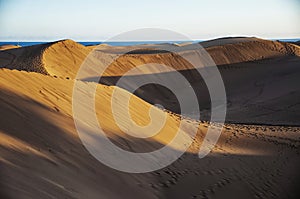 Maspalomas dunes in Gran Canaria