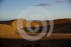 Maspalomas dunes in Gran Canaria