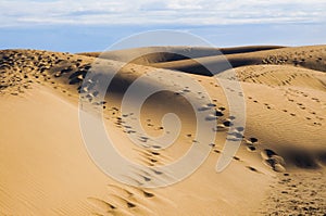 Maspalomas dunes in Gran Canaria