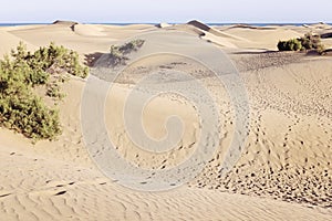 The Maspalomas dunes, Gran Canaria, Spain