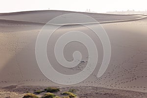 The Maspalomas dunes, Gran Canaria, Spain