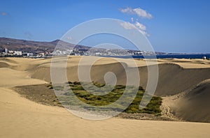 Maspalomas dunes in Grand Canary