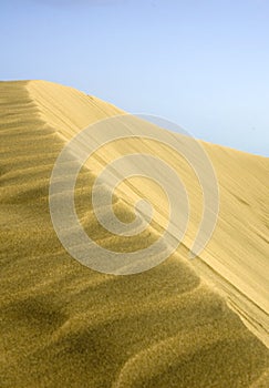 Maspalomas Dunes at sunset photo