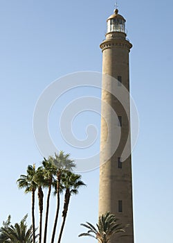 Maspalomas Lighthouse & Palm Trees