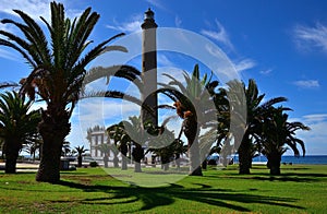 Maspalomas lighthouse among palm trees